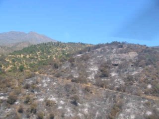 INCENDIO CANDEL 01